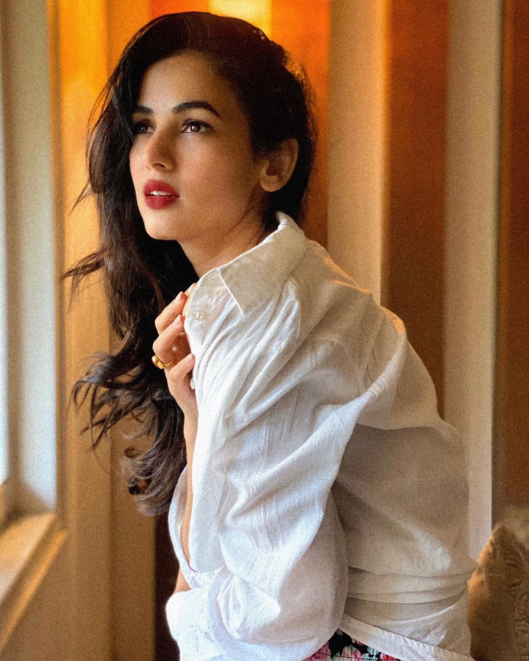 Sonal Chauhan 10 Слив Фото, Sonal Chauhan Слитые Горячие Фото 10